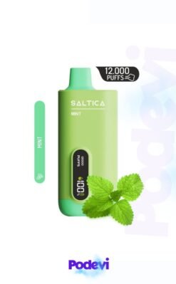 Saltica 12000 Mint Puff